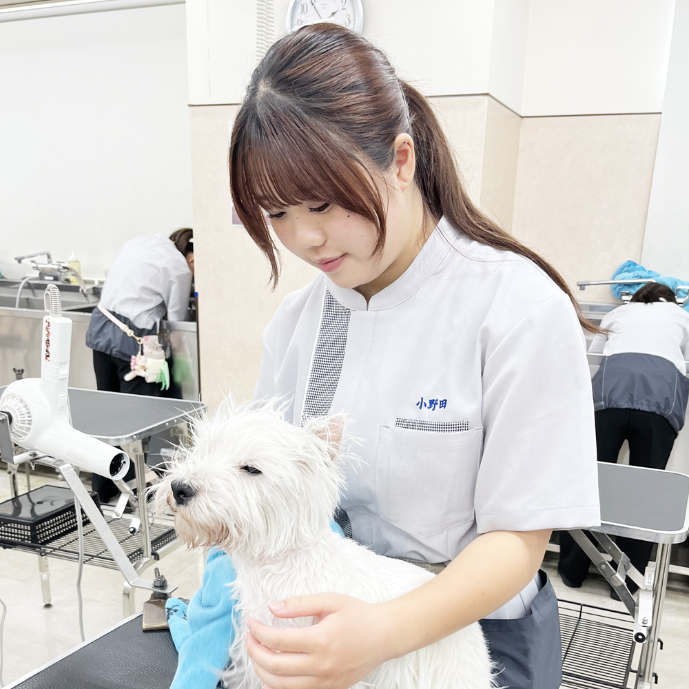 １年生のトリミング実習！